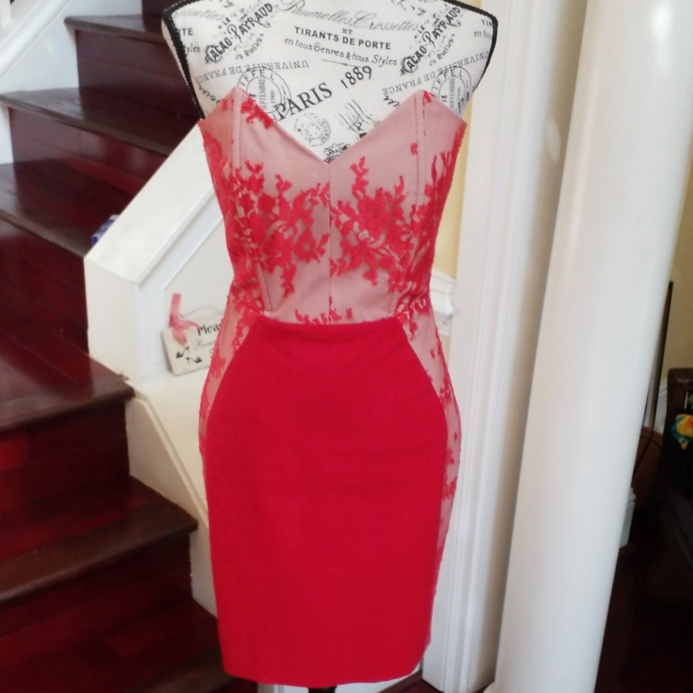 Mason Lace Bustier Dress